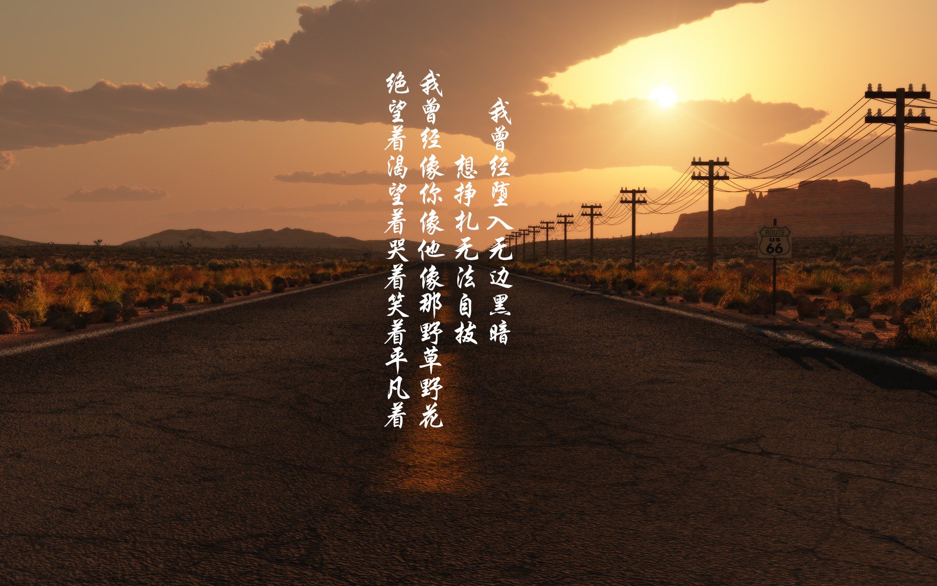 “球迷狂欢：最燃现场应援瞬间合集”，球迷音乐