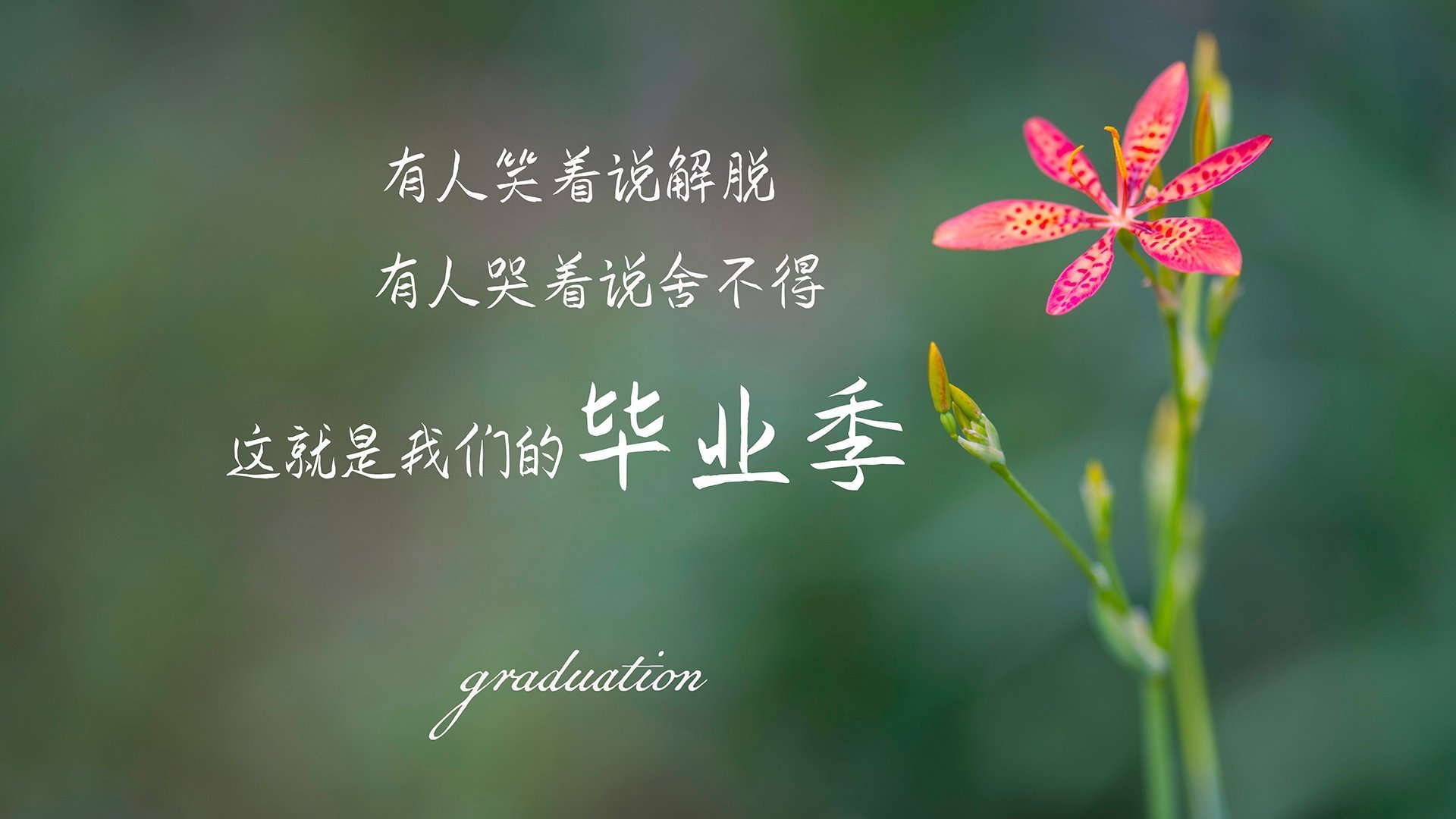 全国青少年“篮球科学”知识普及会在北京启动，强化理论基础，2021全国青少年篮球邀请赛