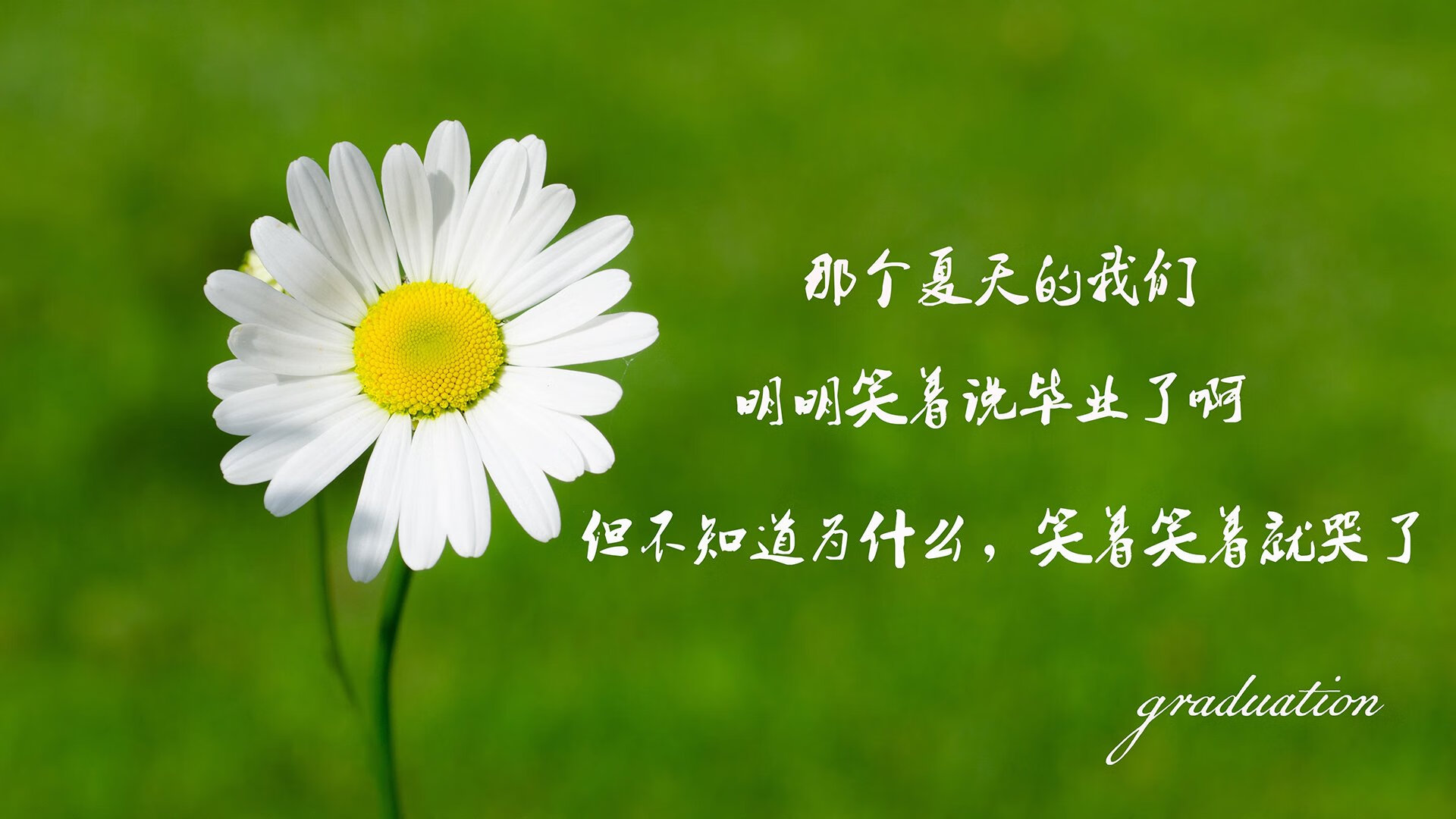 冰岛队遭遇惨败意大利：无缘晋级法国外围，冰岛打进欧洲杯