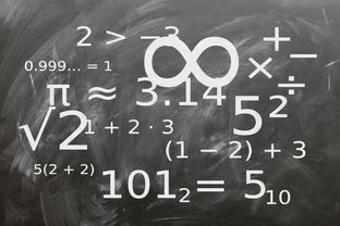 kaiyun体育综合-中小学体育课程教学内容优化研究，中小学体育教学内容的衔接研究