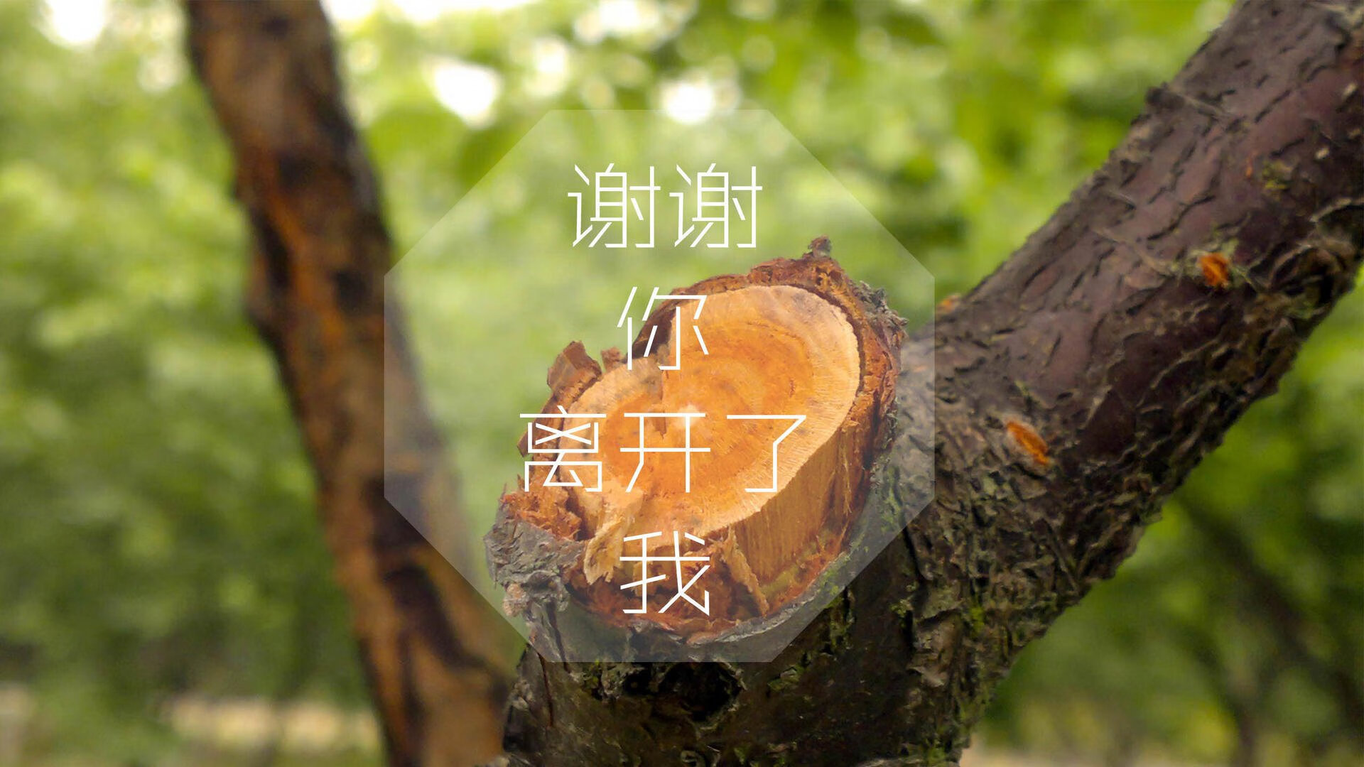 掩护战术中是否应明确节奏传球与出手窗口，掩护战术配合示意图