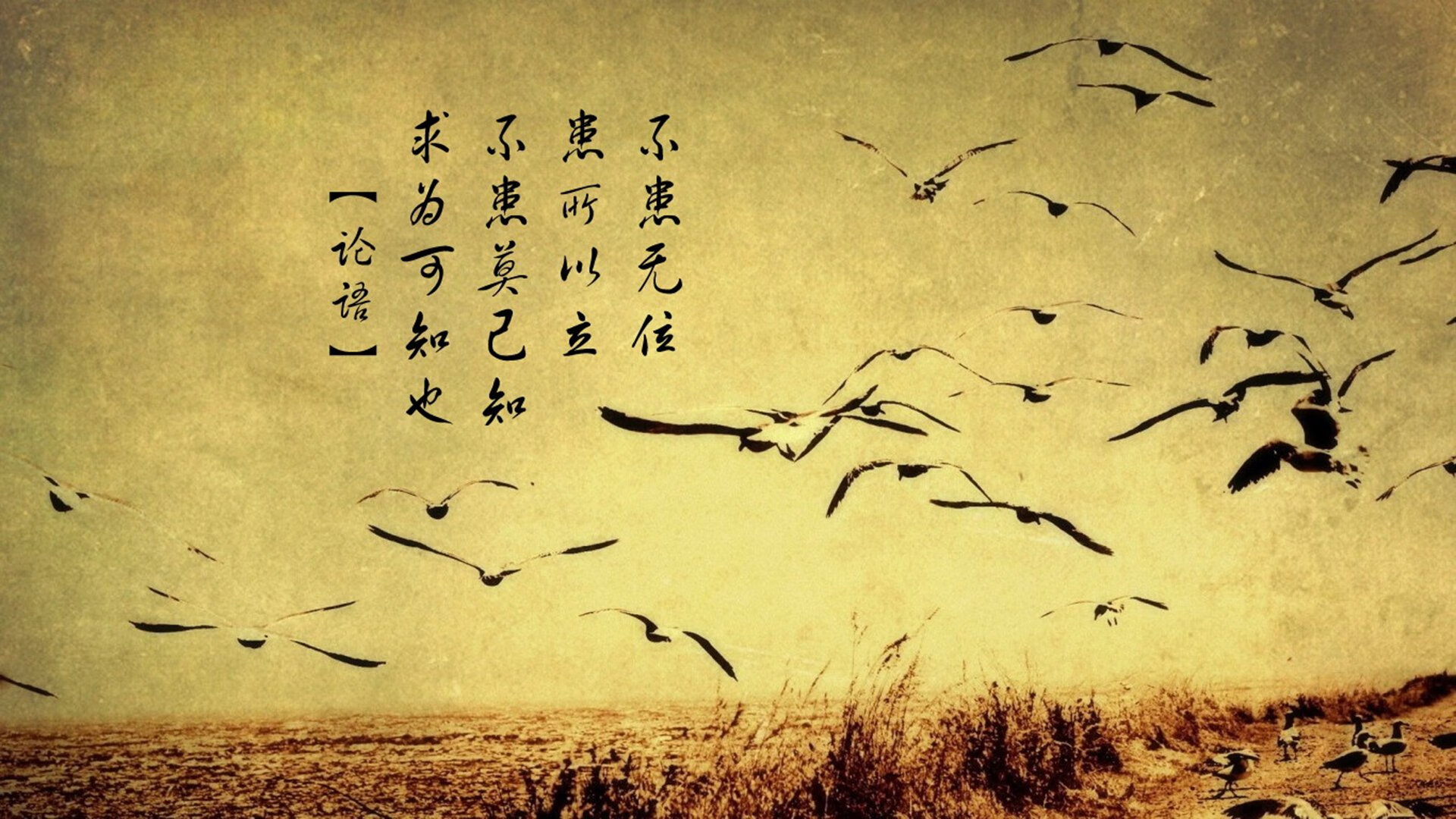 鹈鹕前锋积极参与队内会议提升责任感，鹈鹕队前身叫啥名